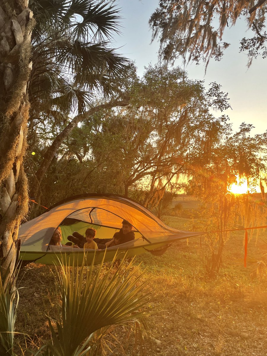 Michael Koenigs tweet media