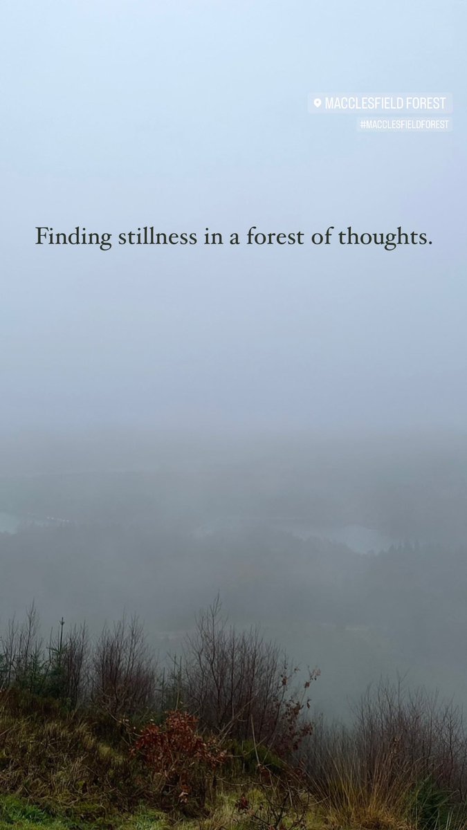 Finding stillness in a forest of thoughts.