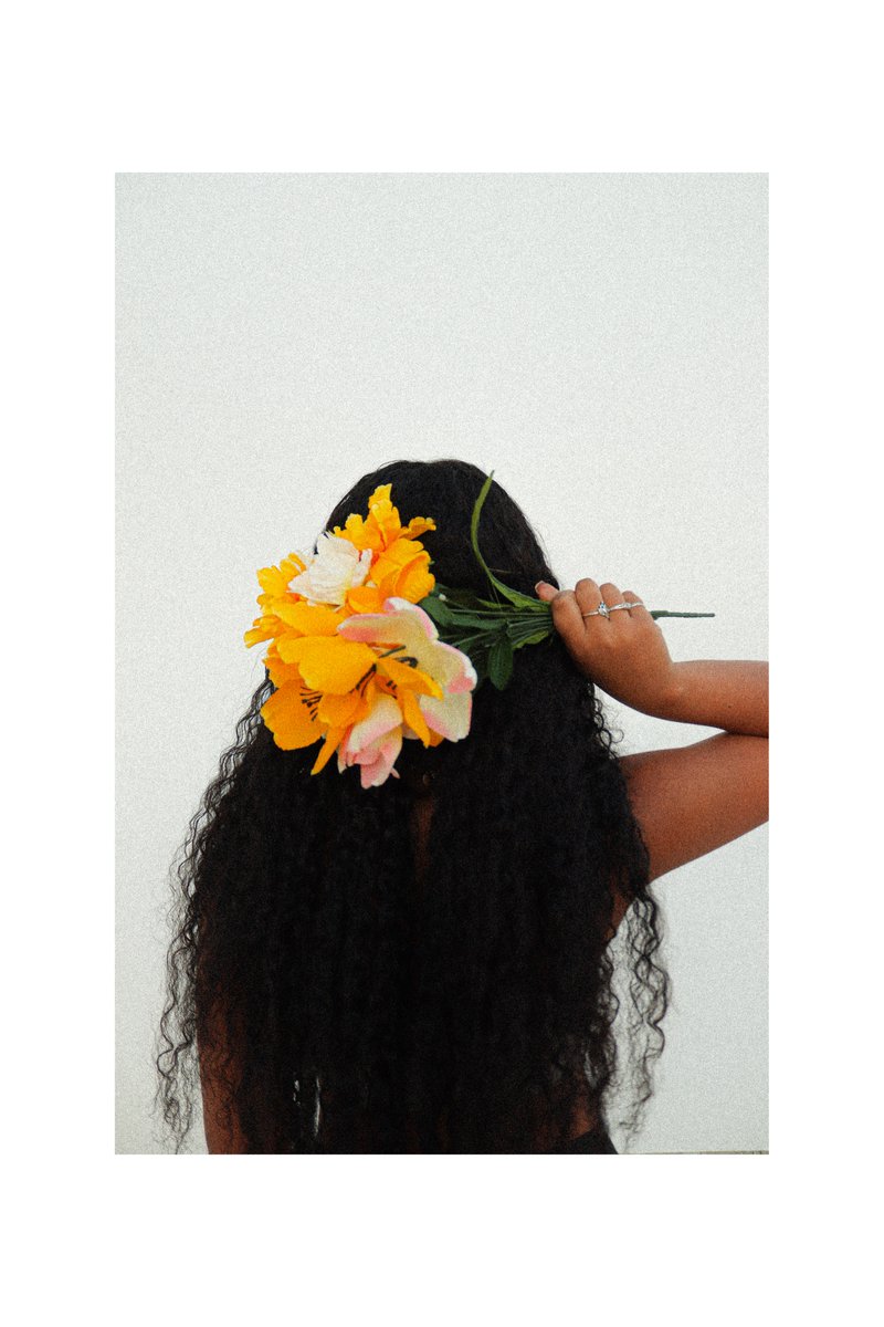 zemivisuals tweet media