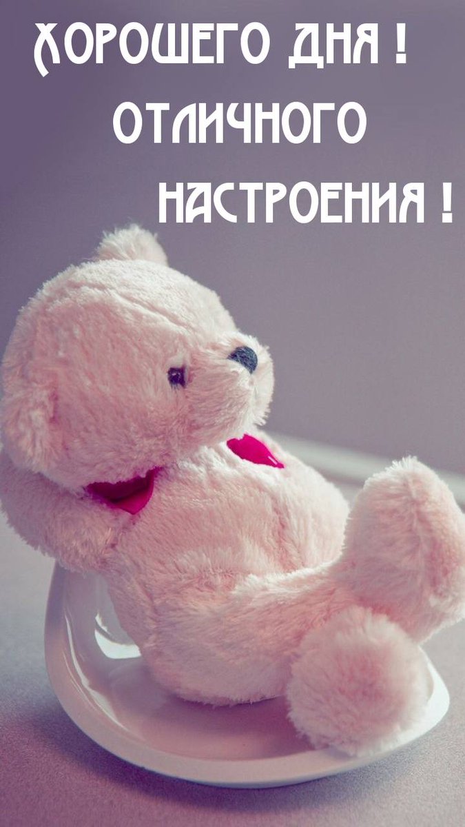 MotygaSud's tweet photo. Жаль https://t.co/BVg5DUxlIP
