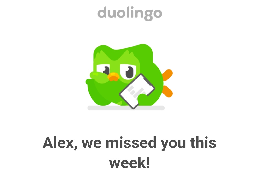 Alex Dowell tweet media