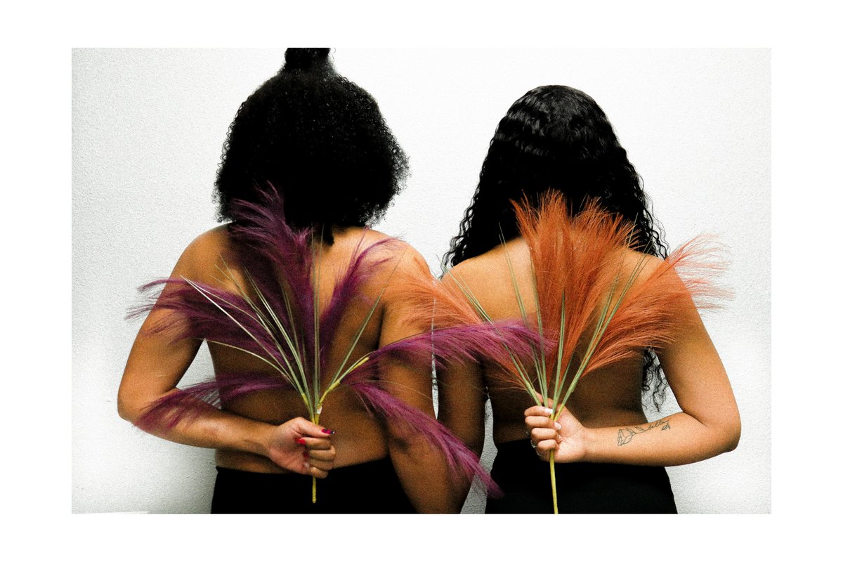 zemivisuals tweet media