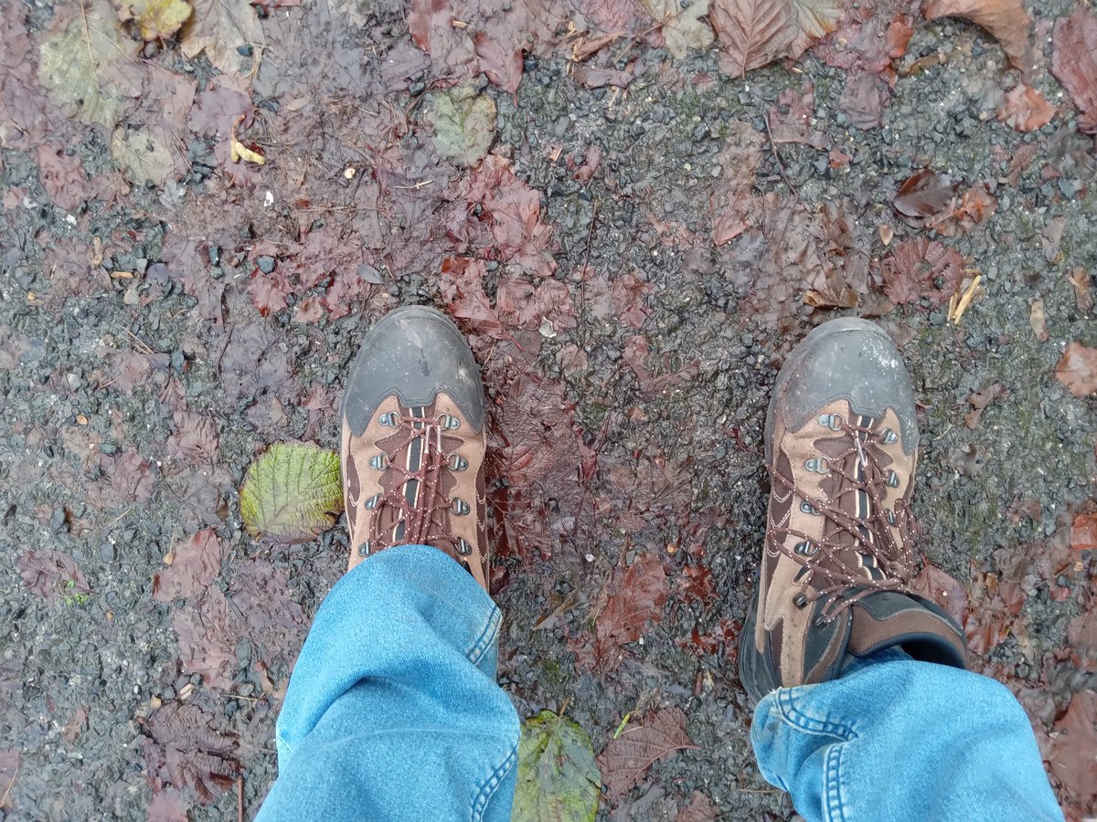 Attention walkers: make sure you come prepared tomorrow: footwear (parts of the trail are quite muddy), rain gear (let's hope it doesn't come to it!), first aid (if you have it, even just some blister plasters). See you at Maynooth station at 09:00.