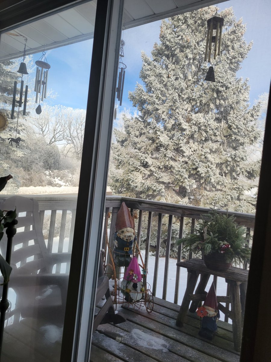conoryea's tweet photo. @ChrisReeceWX 
Frost morning in Inver Grove Heights https://t.co/0jP1MQDIse
