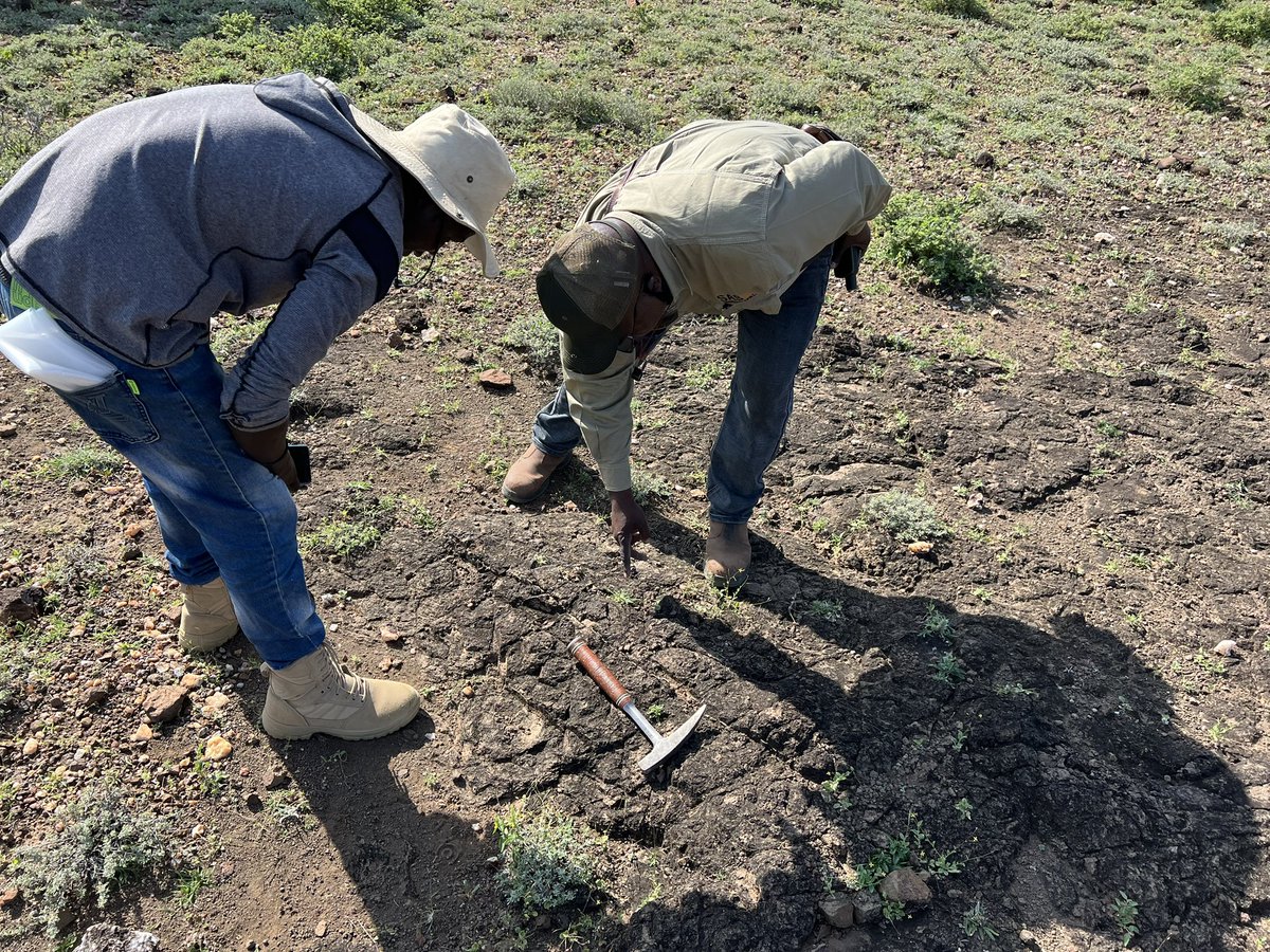 Frontier Mining Ltd tweet media