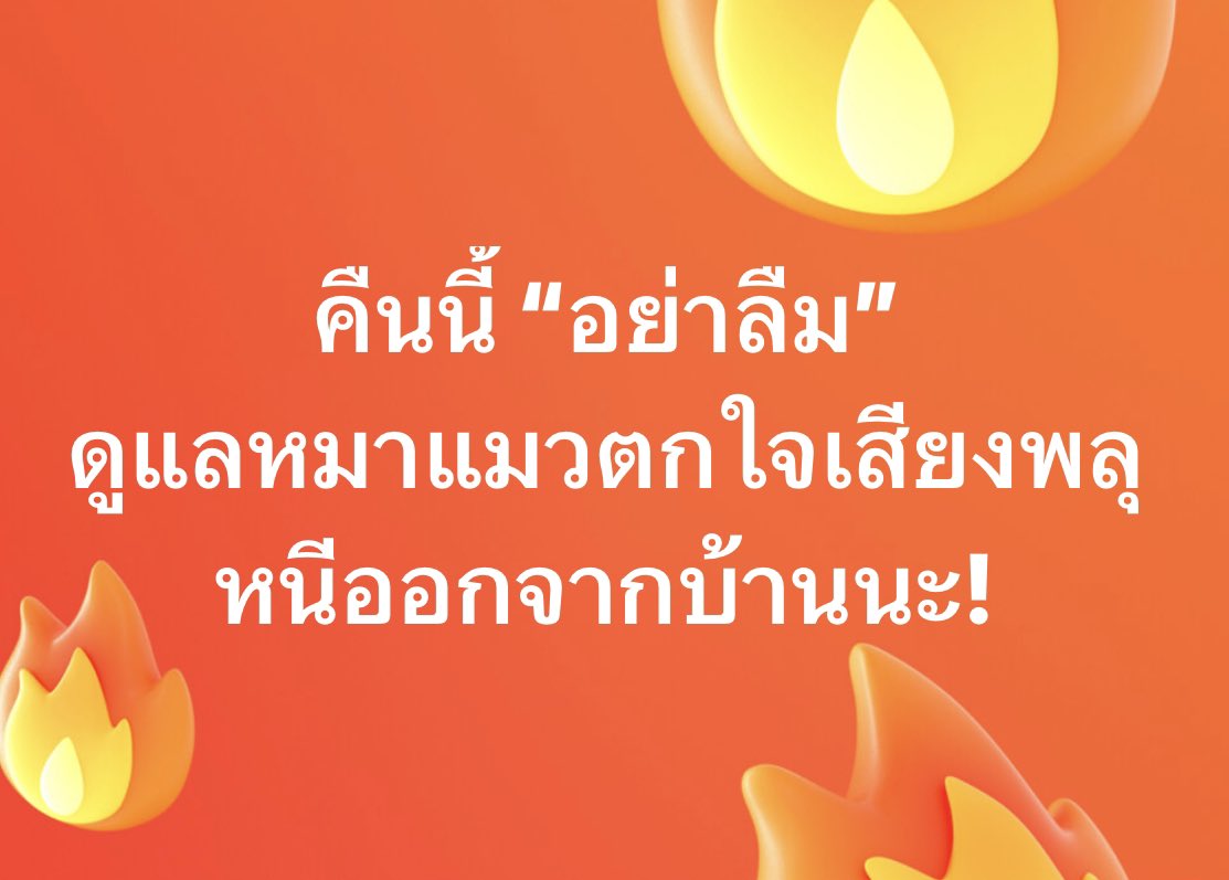อย่าเรียกแมวหนูว่าอี.. tweet media