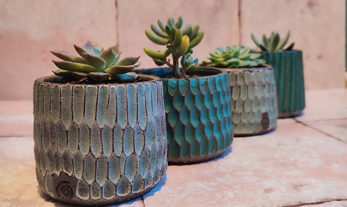 Tideline Ceramics tweet media