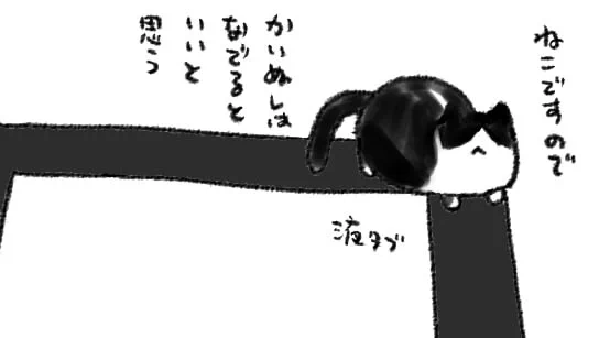 ねこの存在感2023 
