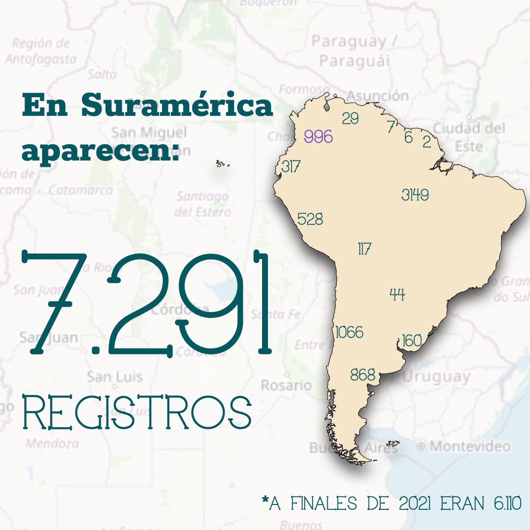 Andrea Padilla Villarraga 🪽🐾 tweet media