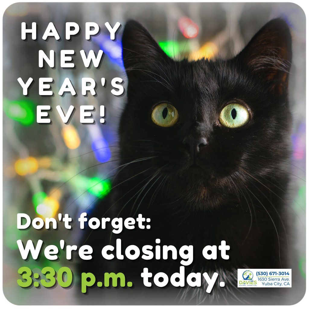 AnimalDavies's tweet photo. We're closed tomorrow for New Year's Day but will re-open on Monday, January 2nd for normal business hours! 

#DaviesAH #YubaCityCA #YubaSutter #Marysville #SutterCounty #DogsOfSactown #DogsOfYubaCity #DogsOfCalifornia #CatsofYubaCity #CatsOfCalifornia #PetsOfCalifornia https://t.co/JTFaJ8CELd
