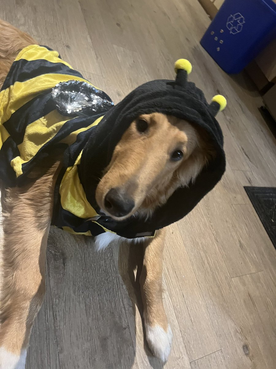 tasha_scho's tweet photo. As 2022 comes to an end, we just wanna wish you all a Happy 2023 CFL Season πππ #ForTheW #hisnameisBuzz #FuzzyWuzzyBuzzy #mascot #fanaticfans #HappyNewYear2023 https://t.co/AsGr1uODGo