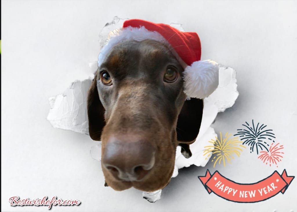 HAPPY NEW YEAR EVERYONE!