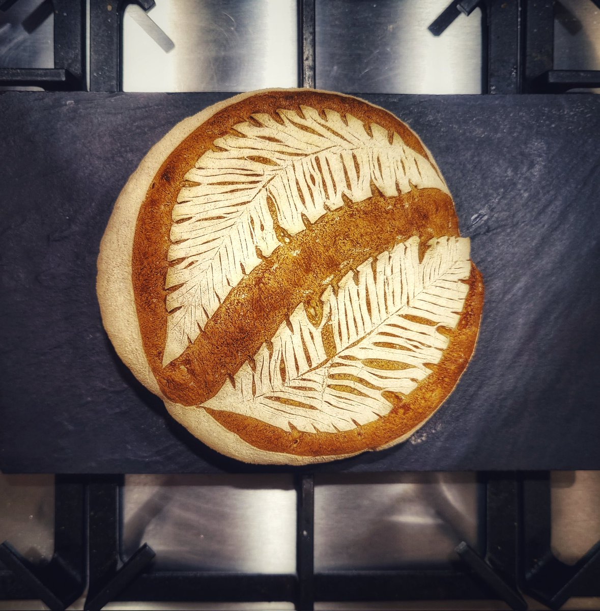 Today's sourdough score, fresh out of the oven. Last loaf for 2022! 
#ShareYourLoaves #artisanbaker #artisanbread #bakeyourownbread #davebakesbread #bread #breadbaker #breadmaking #realbread #RealBreadCampaign #sourdough #scoringsourdough