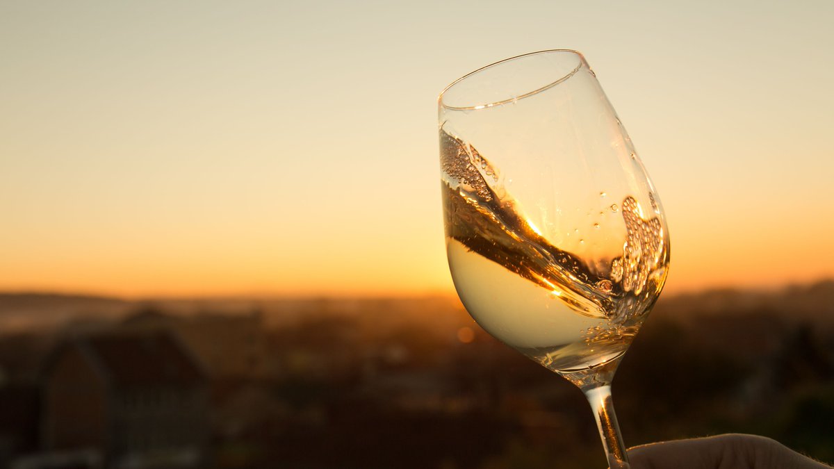 NewMexico's tweet image. Let's raise a glass to 2023! 🥂 What are you looking forward to most in the new year? #NMTrue