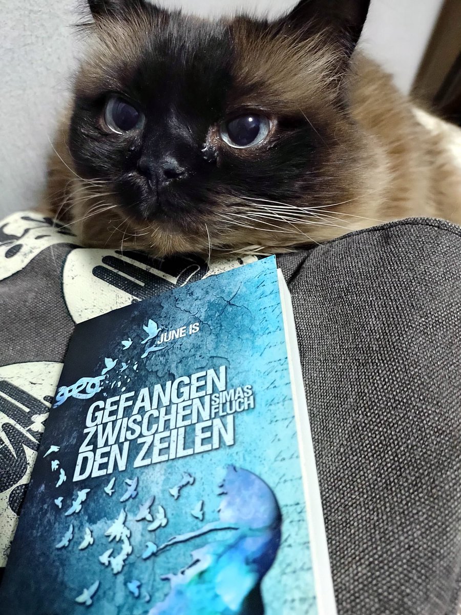 ypical_writer's tweet image. Best achievement 2022 for me as author:
Getting the novel published and finally got to know Elminster. 😍💜
(@ohneohren)
#JuneIsDebut
#JuneIsGefangenZwischendenZeilen
#SimasFluch
