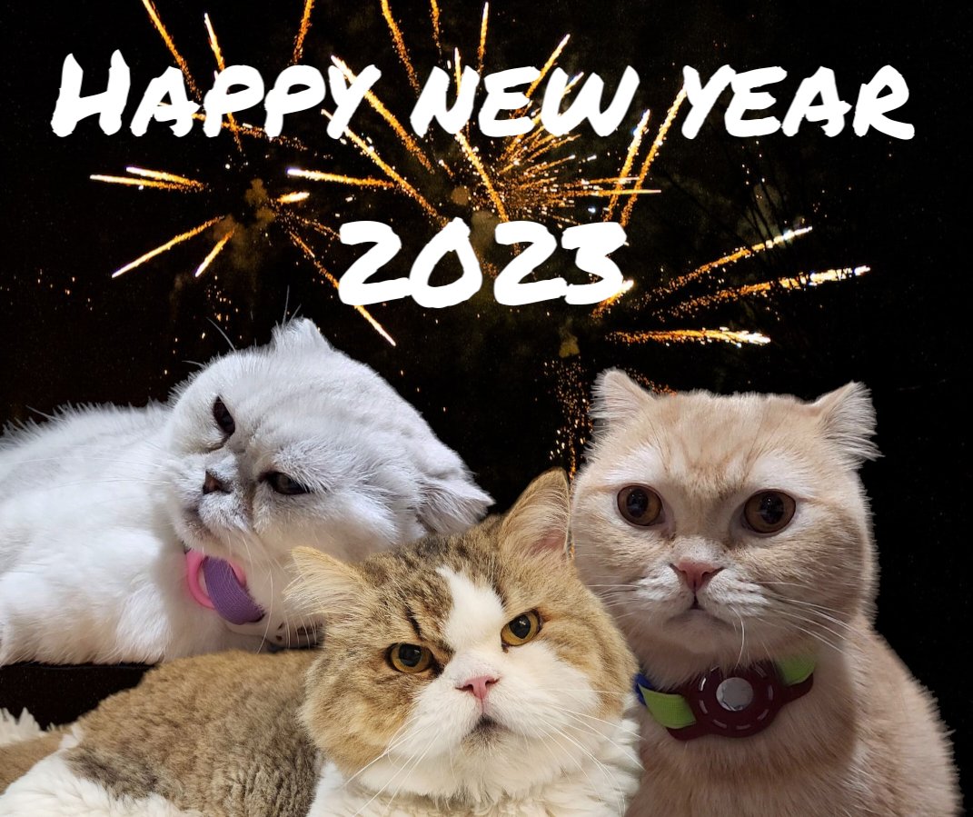 GerGiJackthecat's tweet photo. Happy new year 2023 🎇🎆🎇

#GerGiJackthecat 
#Gingeethecat #GiGithecat #scottishfold 
#JackJackthecat #persiancat 
#cutecat #cat #แมว
#happynewyear2023 https://t.co/m5qN7xGDYR