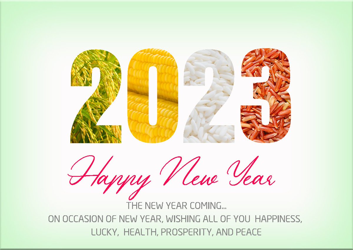 On occasion of New Year, wishing all of you  happiness, lucky,  health, prosperity, and peace
