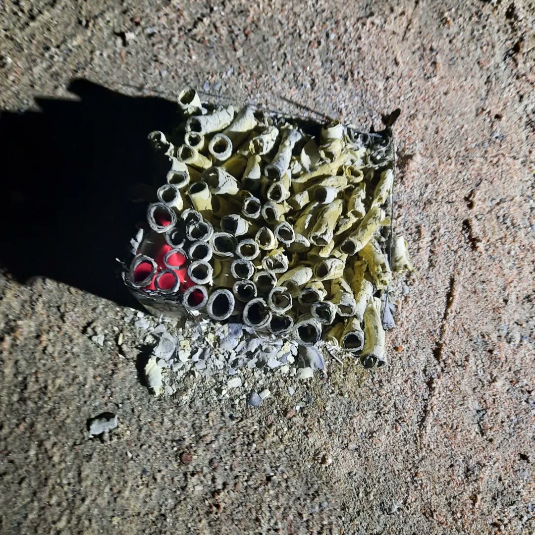vd_blaak's tweet photo. Tja, en net wéér vuurwerk bij de schaapskooi. Weer zijn de (hoogzwangere)schapen naar buiten gevlucht en staan angstig op een kluitje. Dit liet die 'grapjas' achter. Doe dit die arme dieren toch niet aan! https://t.co/RNDJOJpE1Q