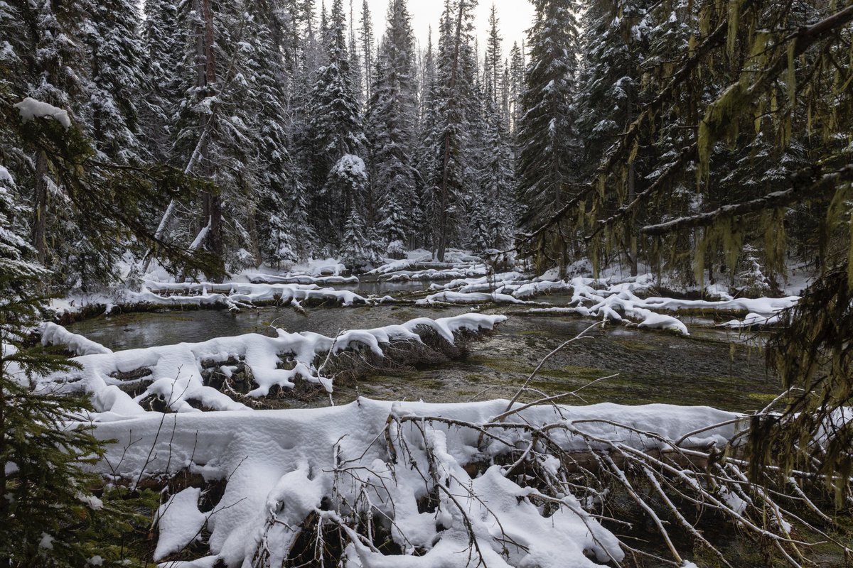 chrisleboe's tweet photo. @FlakPhoto @substack Winter. https://t.co/Vu00Z00gI8