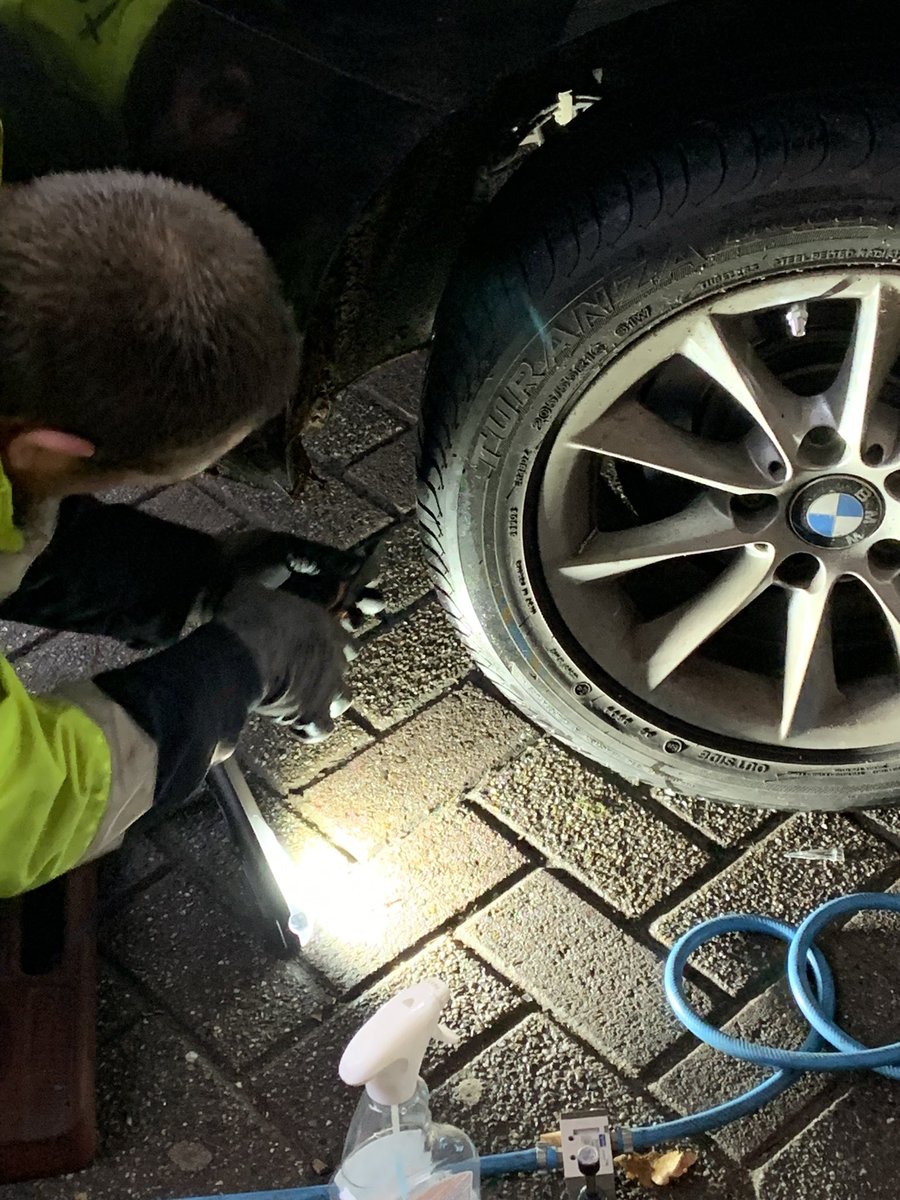 Mechteld v/d beld tweet media