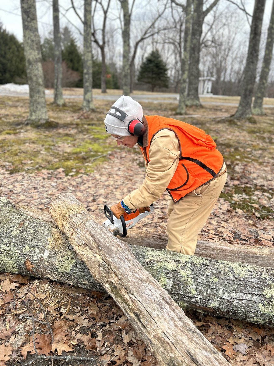 Taking care of my first Maine storm-downed tree without my Dad. Wearing his coveralls, though - hope I did him proud.