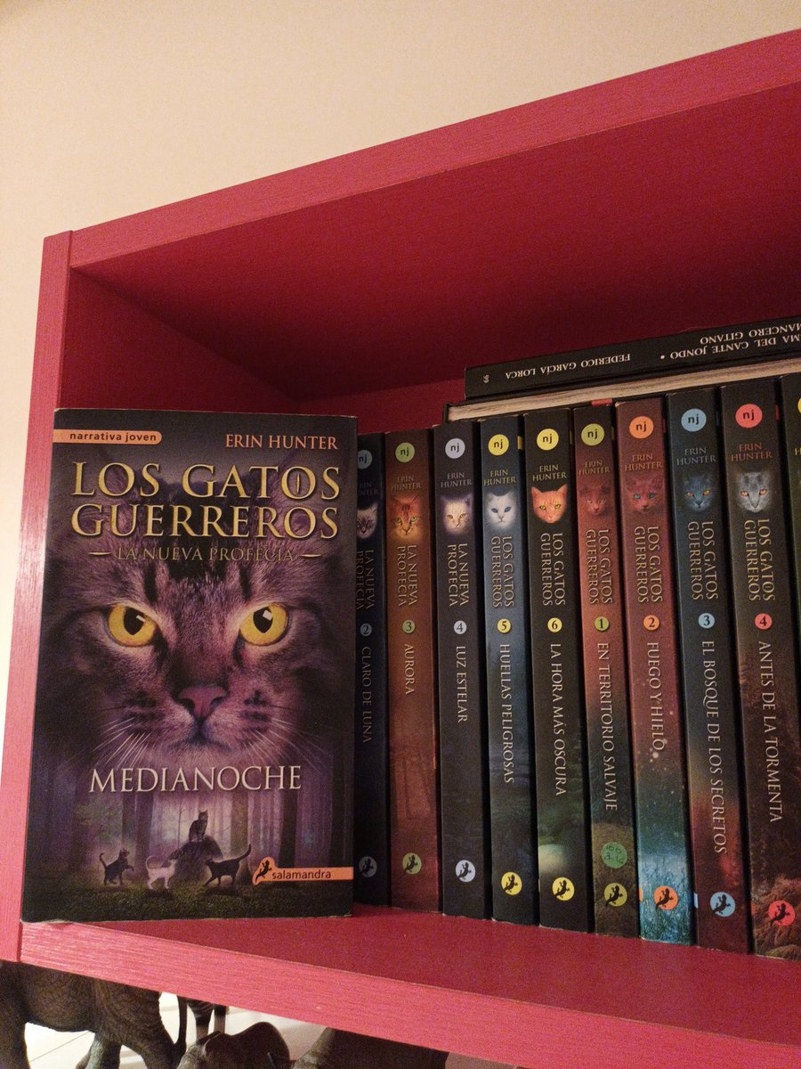 Natiuska1402's tweet photo. @AinaDiazV Los gatos guerreros. Es una saga fantástica para adolescentes. https://t.co/KXw3m1rJe7