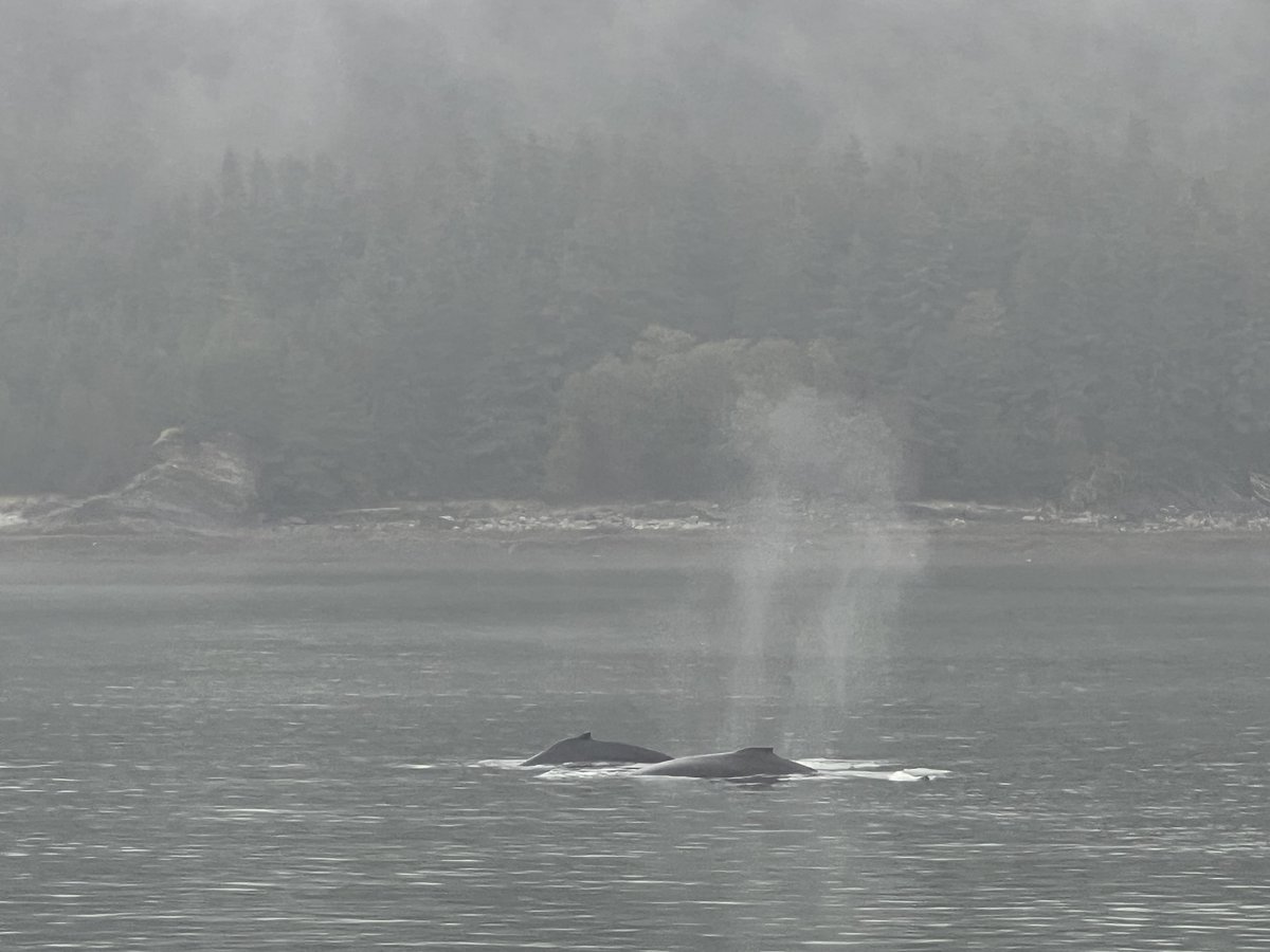 Dave Broderick tweet media