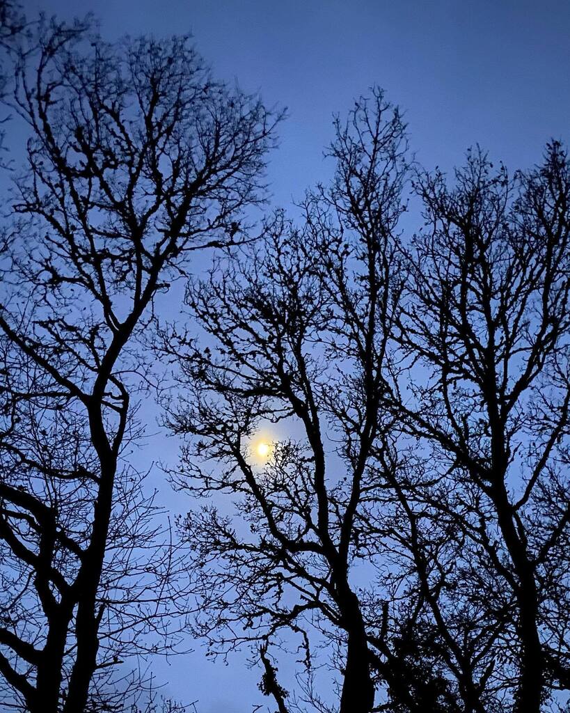 Seek out your light and bathe in it. 
At dusk, at dawn, in the water, in the wind. 
It’s there somewhere and it’s the searching 
that makes it all the more worthwhile finding. 

Thank you for your support this year. Wishing you all light, laughter and lo… instagr.am/p/Cm10NLFosvt/