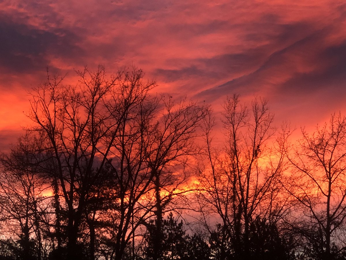 Une fin d’année étrange : chaleur suffocante et ciel apocalyptique 🔥