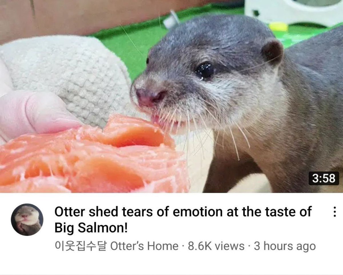 <a href="/lilhotpot/">nikita🥡</a> and i tonight at zuma