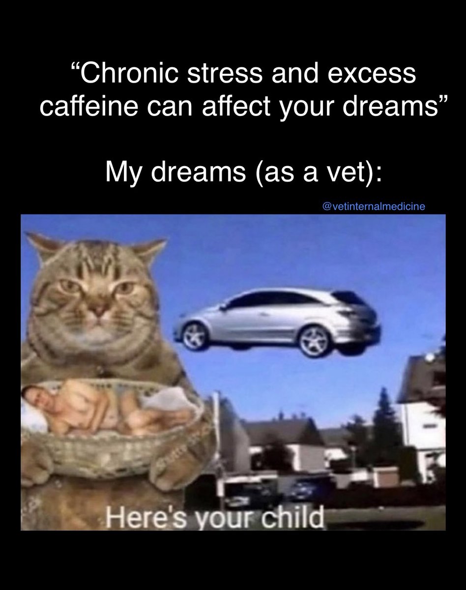 VetInternalMed's tweet photo. #veterinarymedicine #vetmed #veterinarian #veterinary #vetstudentproblems #vetstudent #vet #vetschool #vettechlife #vetmemes #vettech #vetnurse #vetcommunity #rvn #dvm #veterinária #veterinarytechnician #veterinaire #smallanimalvet #veterinariansofinstagram #veterinario https://t.co/rXqUAFvsBc