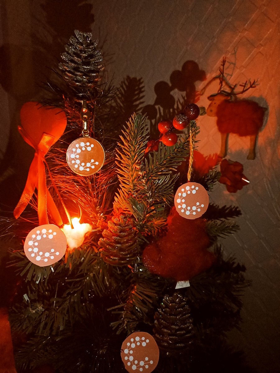 Sfund_community's tweet photo. Happy New Year's Eve to the entire Casper Community!

Continuing to work steadily in the bear market , Casper will continue to work in 2023 !

Do you like my Christmas tree?
(It's not a shop, I really made it with my hands)😅😇

@Casper_Network 
@MParlikar 
@Kevin_Cage_ 
#CSPR https://t.co/K2kI2e2Pnw