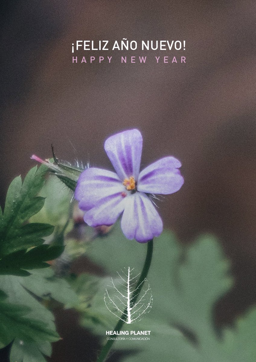 ¡Feliz Año Nuevo! #HappyNewYear #HealingPlanet