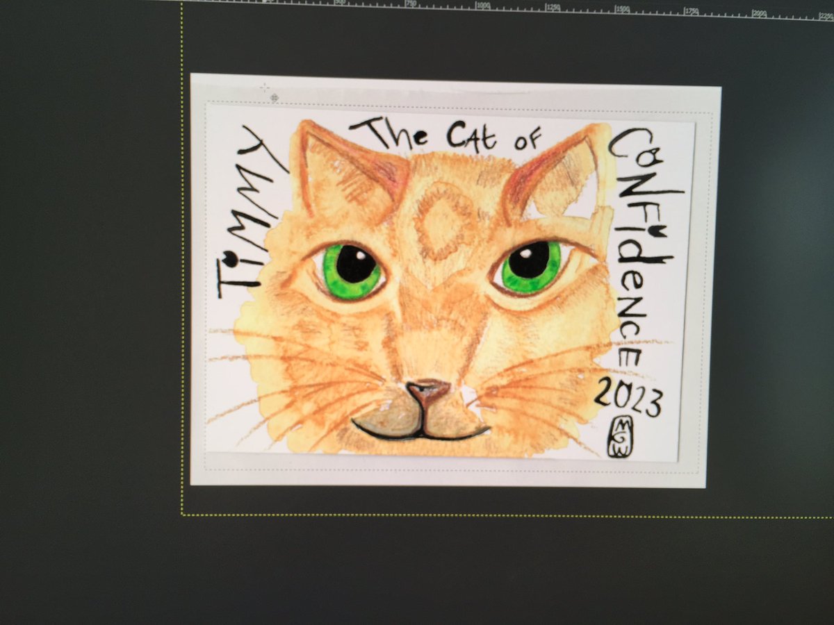 morwhenna's tweet photo. And here he is!! The magical animal for 2023 is none other than TimmyCat himself. He exudes confidence so I thought I’d ask him for his words of wisdom on the matter. :-D and Timmy said - 

“The way to confidence is by doing the doings. So, go do.” 

He’s proper wise. https://t.co/NjQX9oBP8l