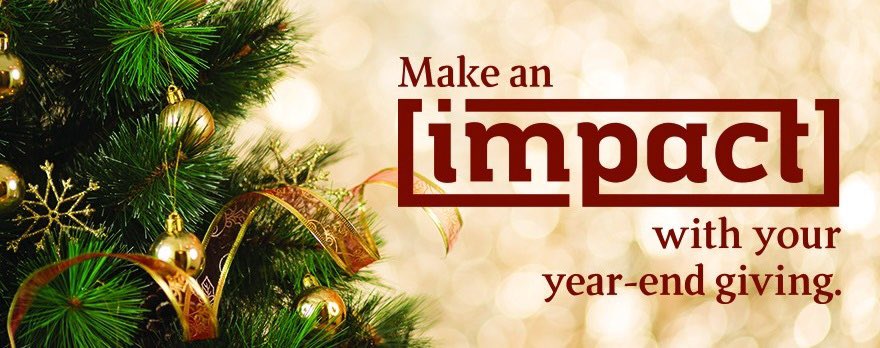 Double your impact with an end of year donation and our community partner will match it up to $15,000! 🙌
ipfcgiving.givesmart.com

#indyphoenixfc
#indianapolistravelsoccer
#indianapolisclubsoccer
#IndianapolisNonprofit