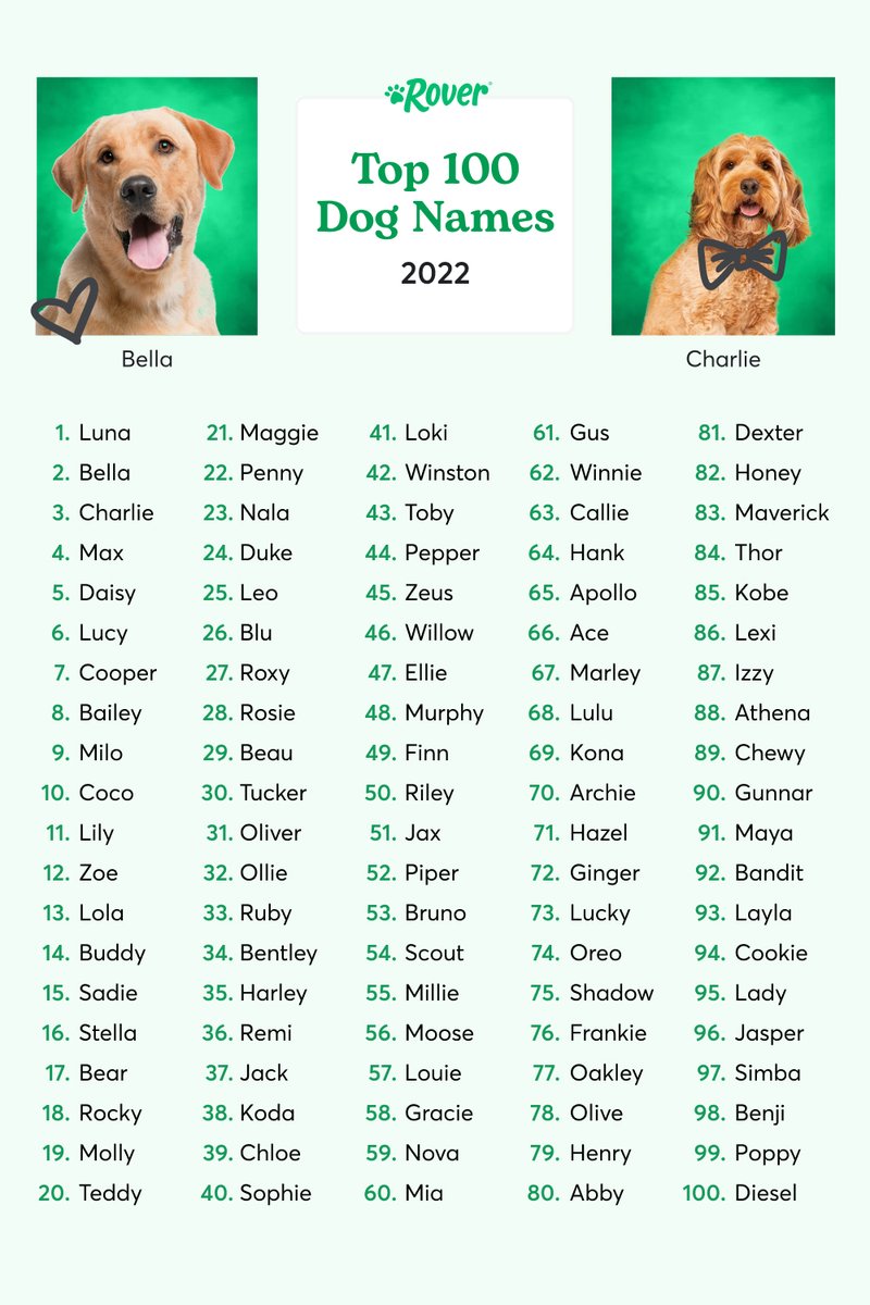 Rover.com tweet media