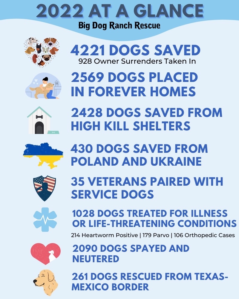 We had an INCREDIBLE year of rescue in 2022! There are not enough words to express our gratitude for all of our adopters, fosters, donors, and volunteers. YOU MAKE THIS POSSIBLE! We can’t wait to see what the new year holds, & we are excited to rescue even more dogs in 2023!