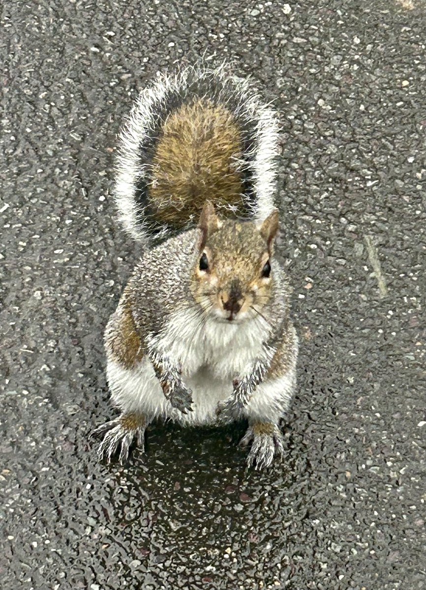 The Brompton Bunch on Twitter "The weather was horrendous today non