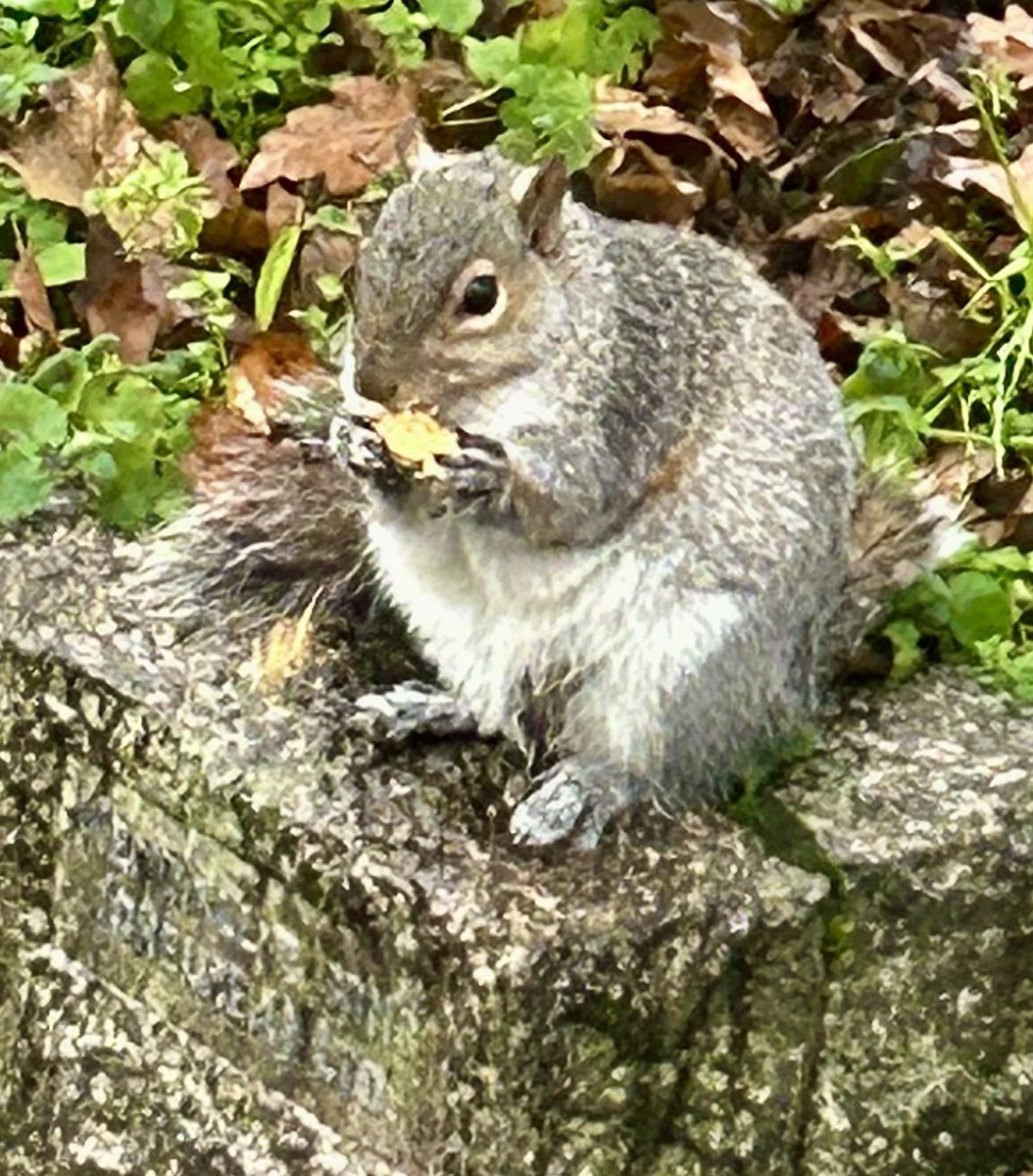 The Brompton Bunch on Twitter "The weather was horrendous today non