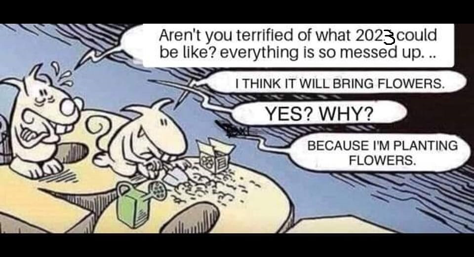 Pam Schmid 💛💙 tweet media