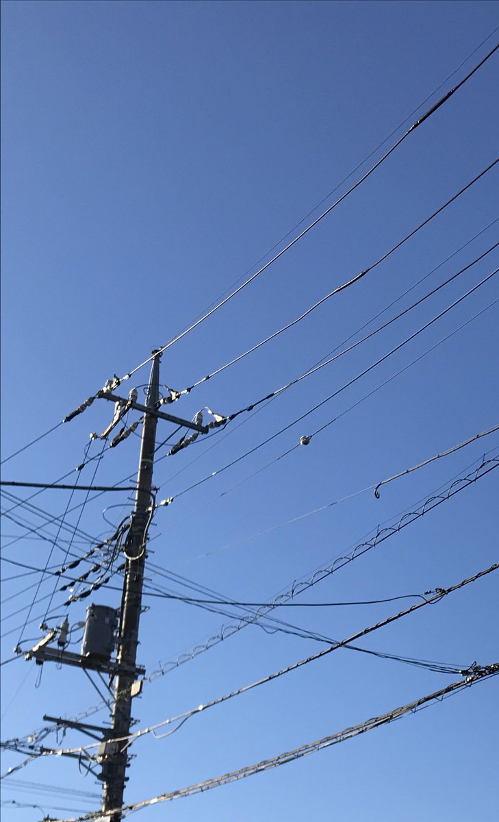 「綺麗な青空ですね。 」|たかはし／鈍行運転中のイラスト