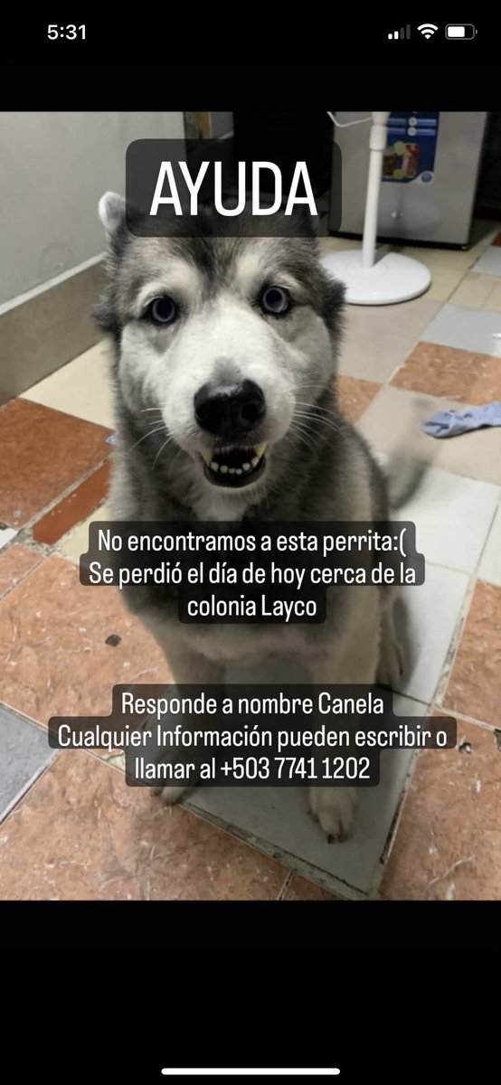 karla_sch's tweet photo. Porfavor compartan @lamanadadepick https://t.co/rV2nAnPPqL