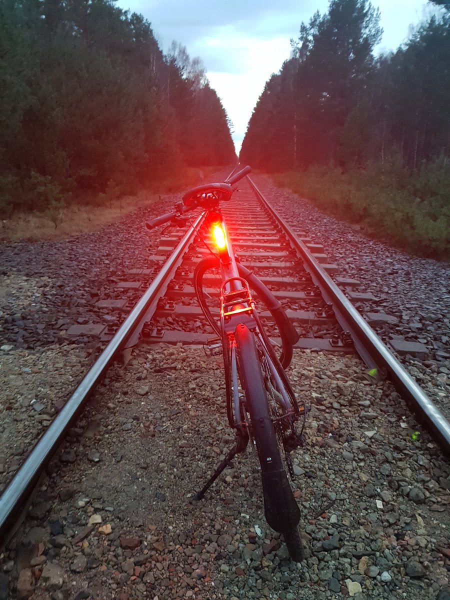 JensHungermann's tweet photo. Habe dem alten Jahr heute die Rücklichter gezeigt. 🚴‍♂️ 😎 Guten Rutsch allerseits! https://t.co/RTEbONfYgo