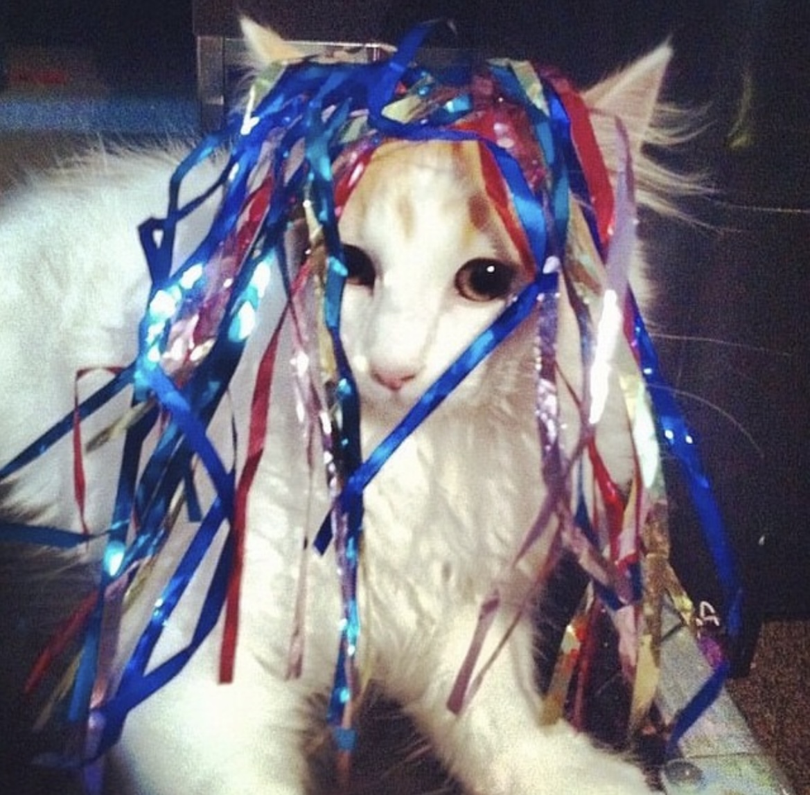 robert ellis orrall tweet media