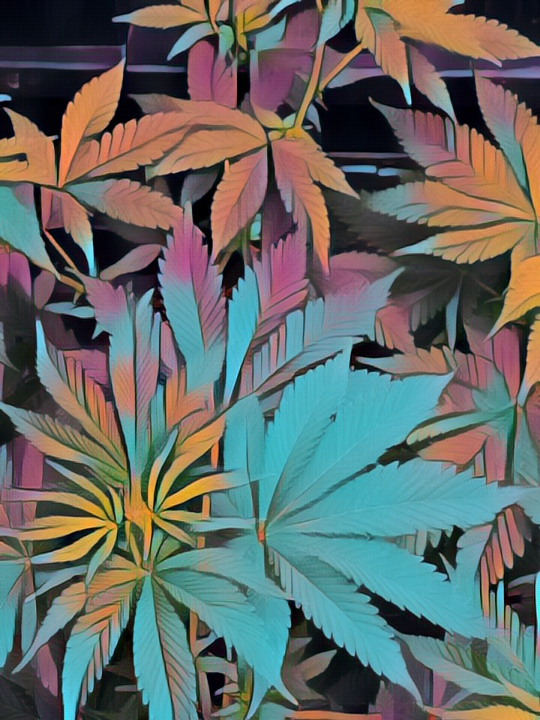 nerdheadclub's tweet photo. 🚀#NFTGiveaway🚀
🕵️♀️Hey #NFTcommunity! We're doing a giveaway with @TheRealitzTIME
🌟2 winners🌟
#NerdHead #2170
#ColorsChanging (#Objkt NFT in #Tezos)
💫To Enter:
✅Follow Us and @TheRealitzTIME
✅RT + ♥️ + Tag 2 Friends
✅Comment your thought
🎉 24hrs🎉 https://t.co/sRsrmTibU2