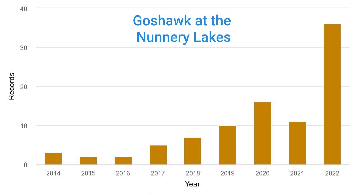 sconebirding's tweet photo. ...and it was a record year for Goshawk and Red Kite.

My #BirdTrack totals:
• 276 #CompleteLists
• 15,304 records
• 134 species

Happy New Year and wishing you lots of rewarding #lowcarbonbirding in 2023! [2/2] https://t.co/NGLaewI2DP
