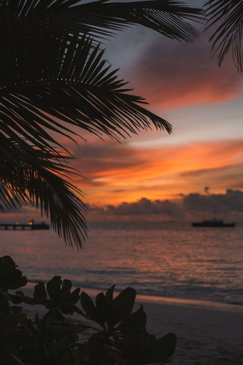 mentally I’m here