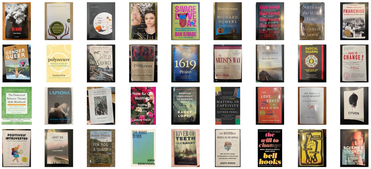 The annual group portrait of all the books I read this year: