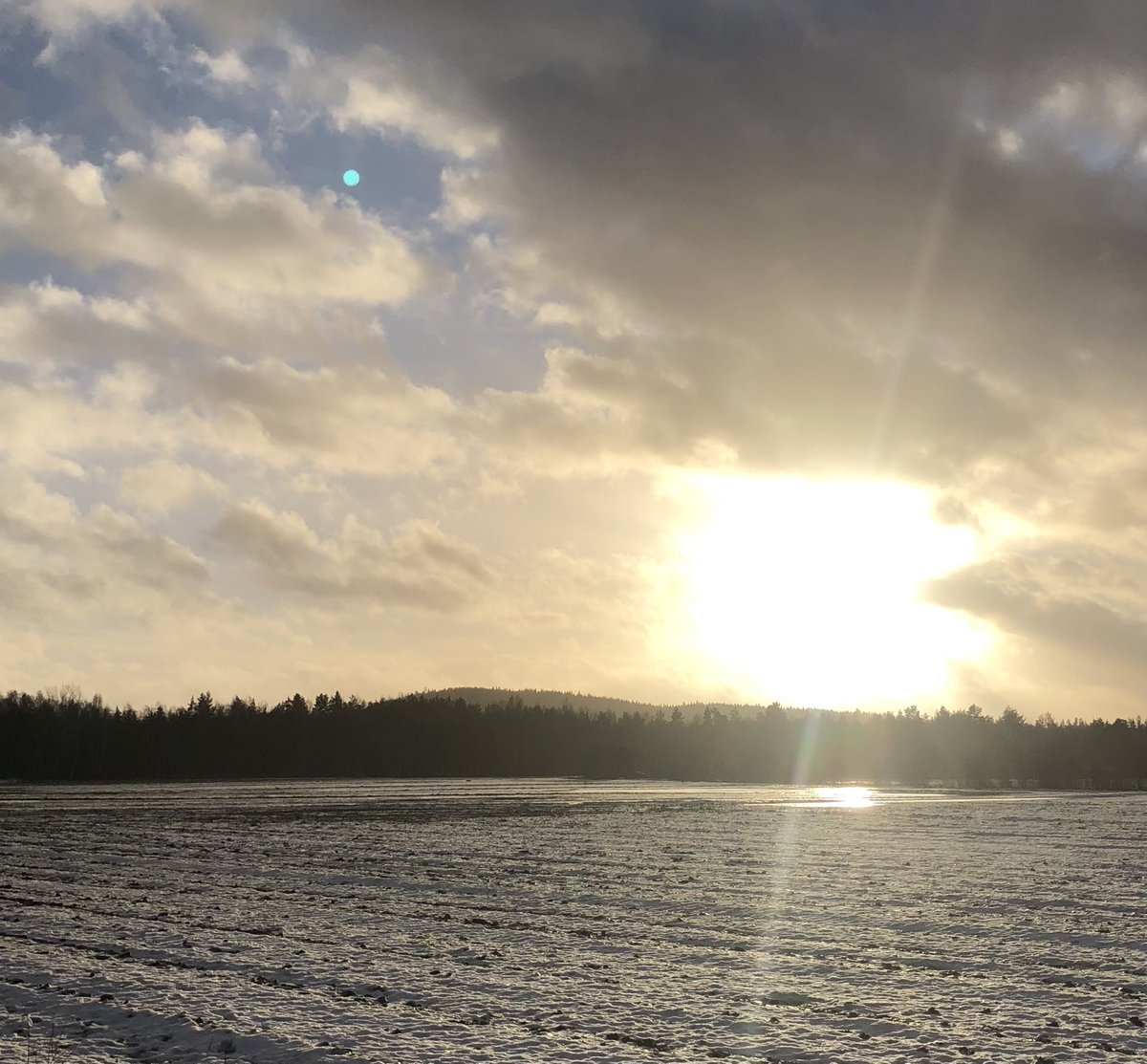 Gott nytt år! Vänner och andra, folk och fä! Vi tar oss ur mörkret.