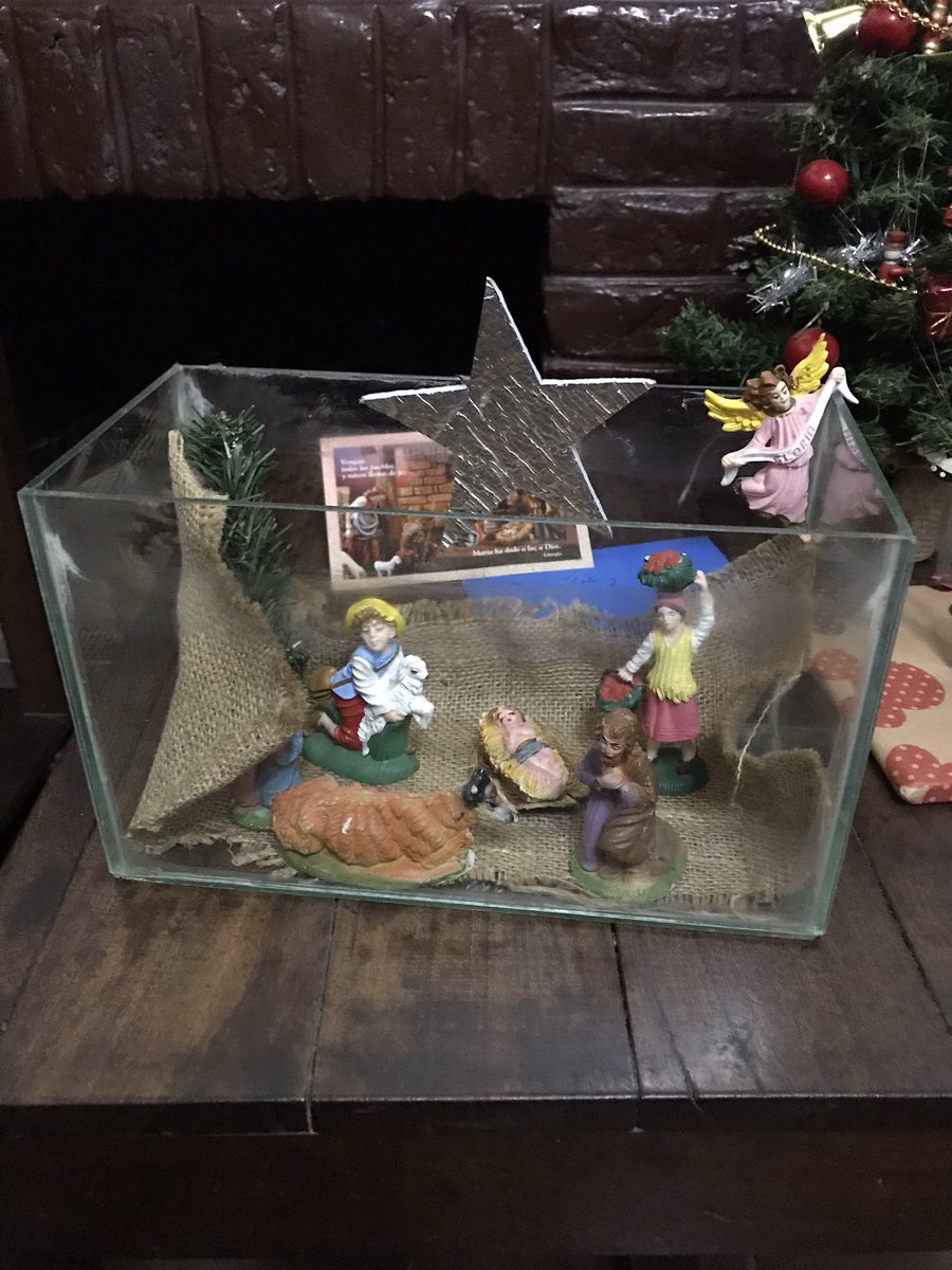 ElCaddies's tweet photo. Pesebre antigatos https://t.co/EmlpZsjsaD